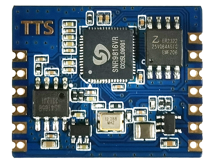 SNR9816TTS Module - Front Side